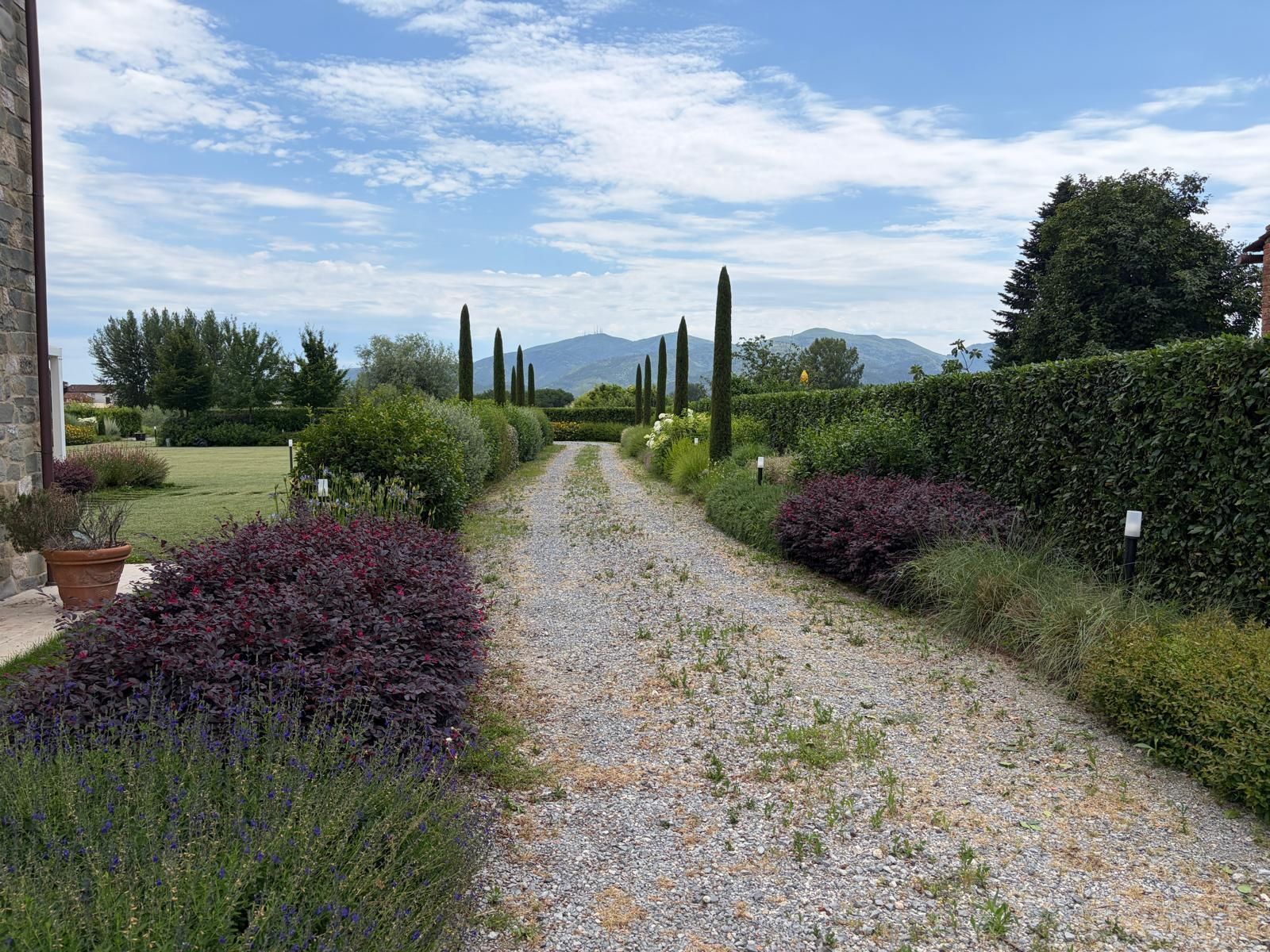Realizzazione giardino a Lucca